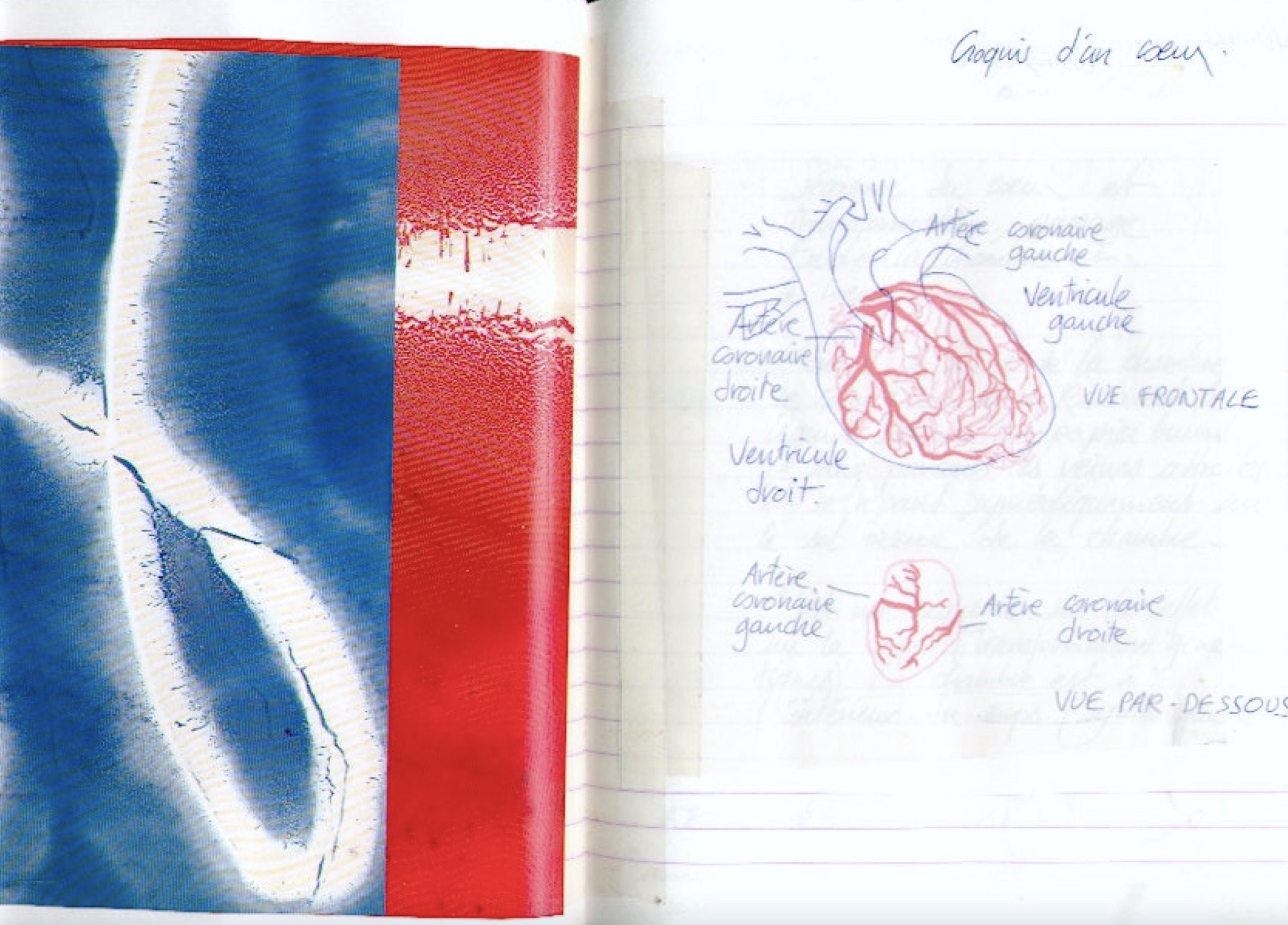 L’exposition Story-board a été conçue et réalisée par Stéphane Trois Carré, Sophie Nagiscarde et Alain Jaffrenou, à la demande de la Scam*.
Inaugurée en 2003 au siège parisien, elle est présentée pour la première fois dans une structure culturelle en province par le Musée d’Art Roger-Quilliot, en partenariat avec le 26ème Festival du Court-Métrage de Clermont-Ferrand, page 3